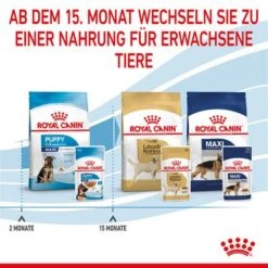 Royal Canin Maxi Puppy In Soße -Angebote Hunde Moden Store rc spt wet maxipuppy cv 8 de de 1