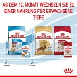 Royal Canin Medium Puppy In Soße -Angebote Hunde Moden Store rc spt wet mediumpuppy cv 8 de de 6