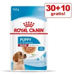 30 + 10 / 36 + 12 Gratis! 40 X 140 G / 48 X 85 G Royal Canin -Angebote Hunde Moden Store rc spt wet mediumpuppy mv 3 de de 0 4