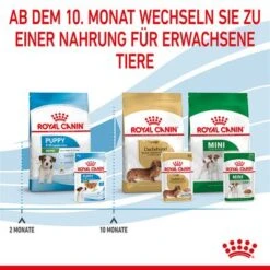 Royal Canin Mini Puppy In Soße -Angebote Hunde Moden Store rc spt wet minipuppy cv 8 de de 6