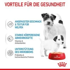 Royal Canin Starter Mother & Babydog Ultra Soft Mousse -Angebote Hunde Moden Store rc spt wet startermousse can cv 3 de de 8