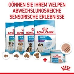Royal Canin Starter Mother & Babydog Ultra Soft Mousse -Angebote Hunde Moden Store rc spt wet startermousse can cv 4 de de 1