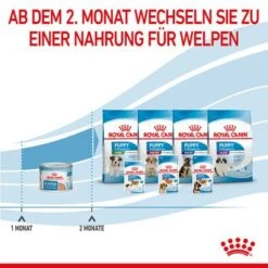 Royal Canin Starter Mother & Babydog Ultra Soft Mousse -Angebote Hunde Moden Store rc spt wet startermousse can cv 8 de de 0