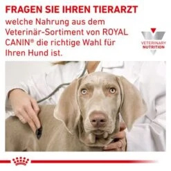 Royal Canin Veterinary Canine Anallergenic Small Dog -Angebote Hunde Moden Store rc vet dry doganasd cv eretailkit 6 de de 3