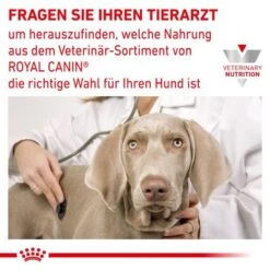 Royal Canin Veterinary Canine Urinary U/C 10 Royal Canin Veterinary Canine Urinary U/C -Angebote Hunde Moden Store rc vet dry dogdiabetic cv eretailkit 8 de de 1