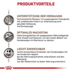 Royal Canin Veterinary Gastrointestinal Puppy 11 Royal Canin Veterinary Gastrointestinal Puppy -Angebote Hunde Moden Store rc vet dry doggastropu cv eretailkit 4 de de 9