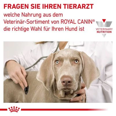 Royal Canin Veterinary Gastrointestinal Puppy 8 Royal Canin Veterinary Gastrointestinal Puppy – Bild 8