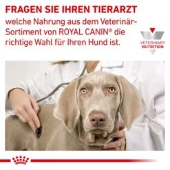 Royal Canin Veterinary Canine Skin Care -Angebote Hunde Moden Store rc vet dry dogskincare cv eretailkit 6 de de 7