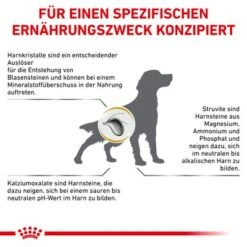 Royal Canin Veterinary Canine Urinary S/O -Angebote Hunde Moden Store rc vet dry dogurinaryso cv eretailkit 8 de de 1