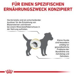 Royal Canin Veterinary Canine Urinary S/O Small Dog 12 Royal Canin Veterinary Canine Urinary S/O Small Dog -Angebote Hunde Moden Store rc vet dry dogurinarysosd cv eretailkit 7 de de 9