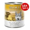 Sparpaket Wolf Of Wilderness "The Taste Of" 24 X 800 G
