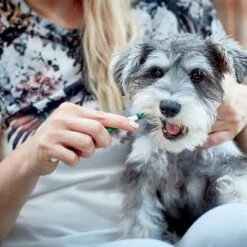 Vet's Best® Zahnpflege Set Für Hunde -Angebote Hunde Moden Store v317310 vetsbest dentalcare kit hs 09 3