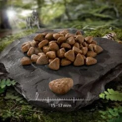 2 X 12 Kg Wolf Of Wilderness Trockenfutter "Elements" - Getreidefrei 13 2 X 12 Kg Wolf Of Wilderness Trockenfutter "Elements" - Getreidefrei -Angebote Hunde Moden Store wow adult monoprotein elements fiery volcanoes lamm 752928 0 15 17 mm 5