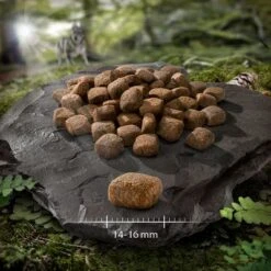 2 X 12 Kg Wolf Of Wilderness "Soft & Strong" - Getreidefrei -Angebote Hunde Moden Store wow soft strong ente 14 16 mm 2