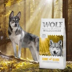 12 + 2 Kg Gratis! 14 Kg Wolf Of Wilderness Trockenfutter -Angebote Hunde Moden Store wow classic sunnyglade 12kg 8 1