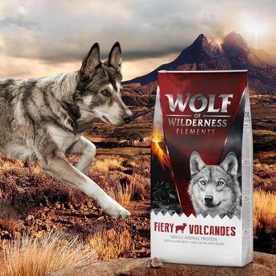 2 X 12 Kg Wolf Of Wilderness Trockenfutter "Elements" - Getreidefrei 5 2 X 12 Kg Wolf Of Wilderness Trockenfutter "Elements" - Getreidefrei – Bild 5