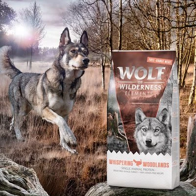 2 X 12 Kg Wolf Of Wilderness Trockenfutter (Monoprotein) Mit Freiland-Fleisch 5 2 X 12 Kg Wolf Of Wilderness Trockenfutter (Monoprotein) Mit Freiland-Fleisch – Bild 5