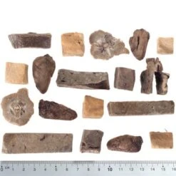 Wolf Of Wilderness - Premium Snack Adventskalender (getreidefrei) 8 Wolf Of Wilderness - Premium Snack Adventskalender (getreidefrei) -Angebote Hunde Moden Store wow raw mixed fg 5427 2