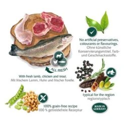 2 X 12 Kg Wolf Of Wilderness "The Taste Of" - Getreidefrei -Angebote Hunde Moden Store wow regions mediterranean marketingboard 8