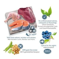 2 X 12 Kg Wolf Of Wilderness "The Taste Of" - Getreidefrei -Angebote Hunde Moden Store wow regions scandinavia marketingboard 4