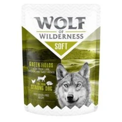 Wolf Of Wilderness Adult 6 X 300 G - Pouch 10 Wolf Of Wilderness Adult 6 X 300 G - Pouch -Angebote Hunde Moden Store wow soft greenfields 300g 1000px 8